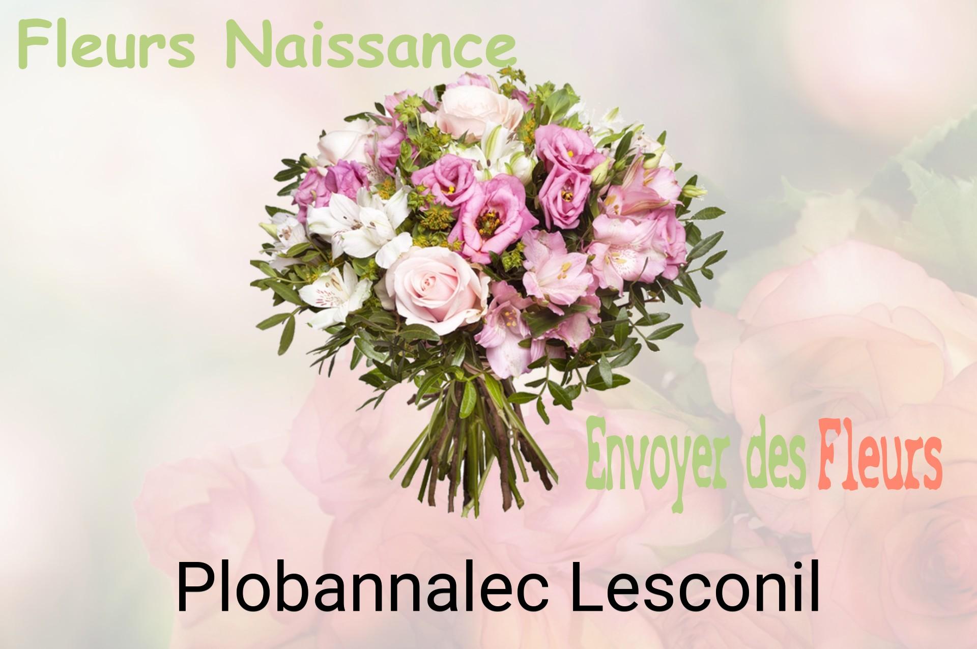 Bouquet de fleurs de naissance livré à Plobannalec-Lesconil